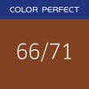 Color Perfect Deep Browns 66/71